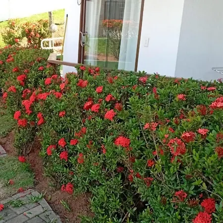 Flat Em Pipa - Brisas Do Amor Praia de Pipa Room photo