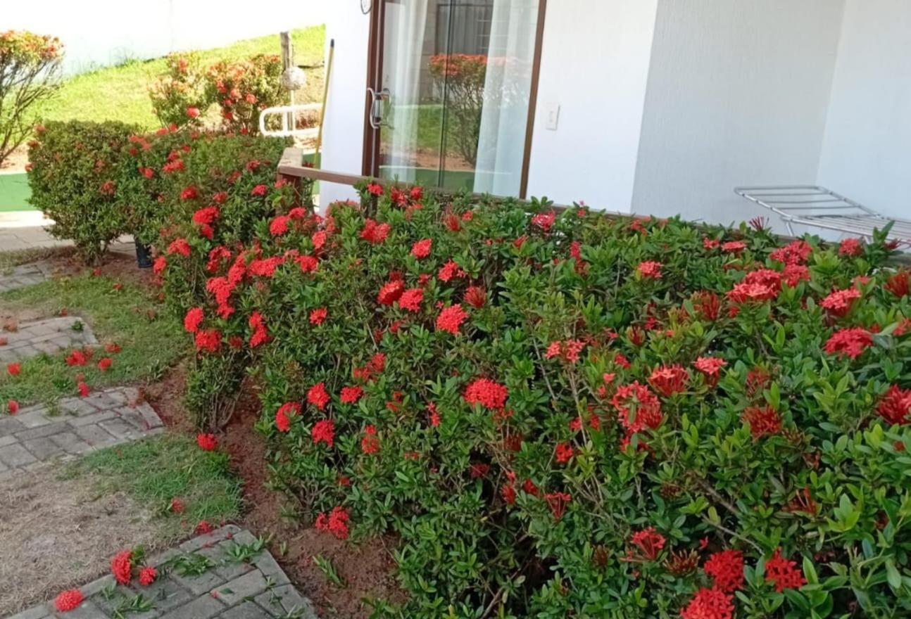 Flat Em Pipa - Brisas Do Apartamento *